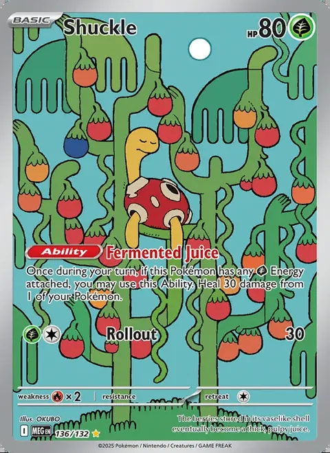 Shuckle 136/132 — reference scan